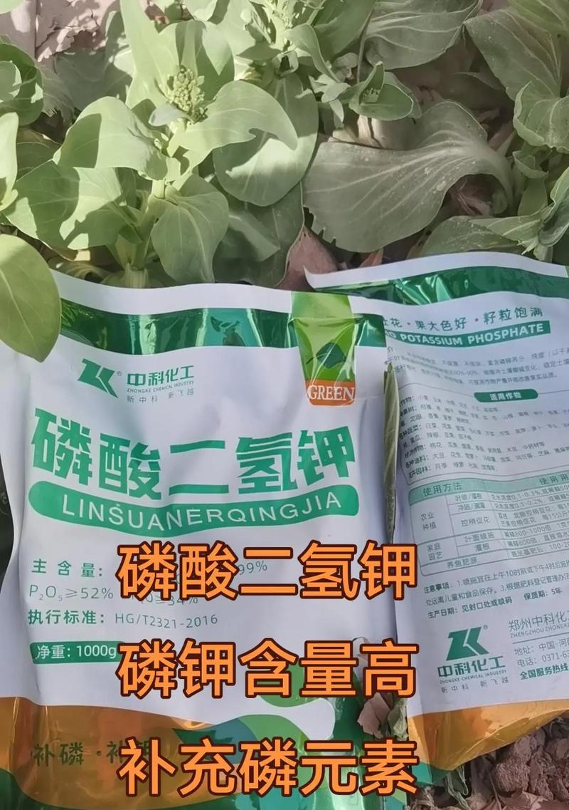 磷酸二氢钾适合浇什么花？（为您解析磷酸二氢钾的养花秘诀。）