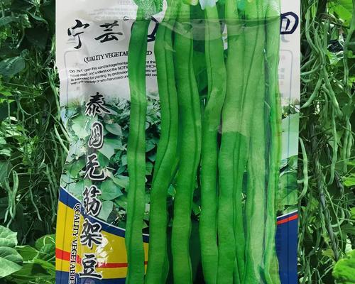 一种常见的蔬菜品种——菜豆种子，你知道吗？（一种常见的蔬菜品种——菜豆种子，你知道吗？）