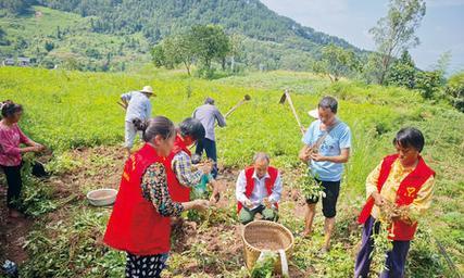 花生种植与收获时间表（农民必知的种植技巧与收获方法）