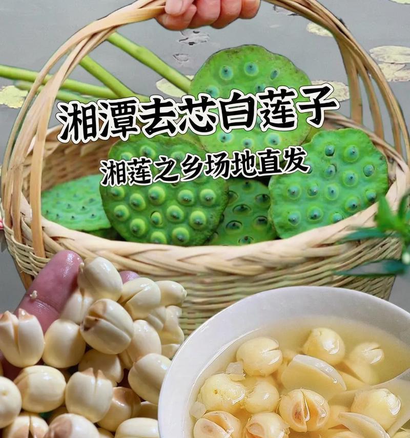 莲子的食用方法与注意事项（莲子可以生吃吗？生吃有哪些好处与风险？）
