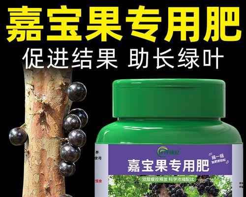葡萄几月开花结果：从生长周期到品质优化