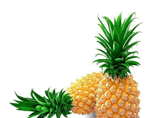 凤梨的性质及功效(探究凤梨是热性还是凉性,解析其药用价值)