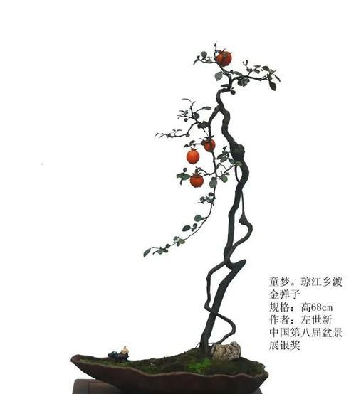 金弹子根系发达的特点（探究金弹子根系的生长环境和适应能力）