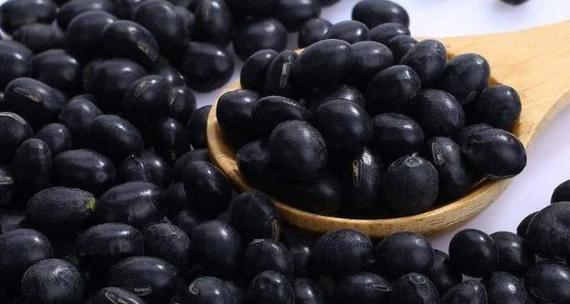黑豆种植全指南（黑豆种植时间、方法、肥料等关键问题一网打尽）