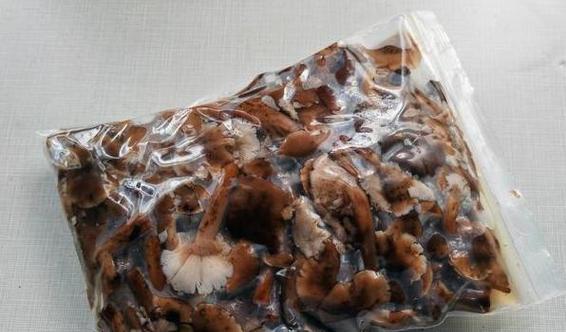 蘑菇的冷冻保存方法(如何将蘑菇保存更久?)