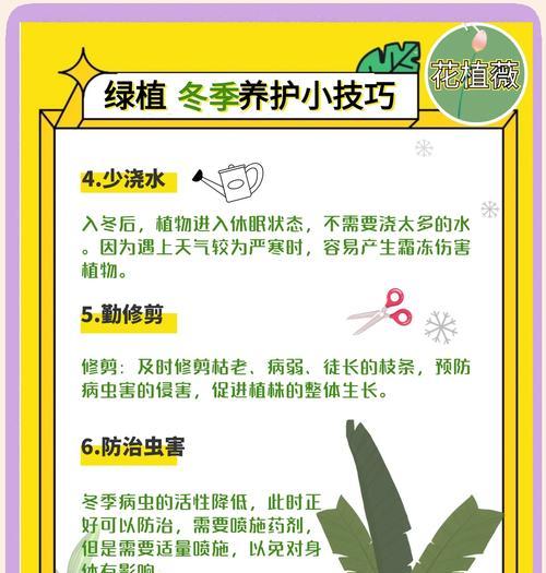 《绿化袖珍叶的养护指南》（轻松打造室内绿色小天地，）