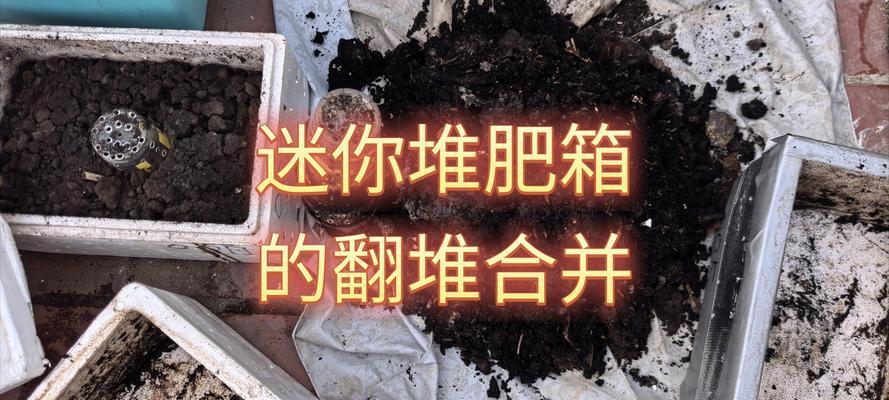 家庭自制复合肥——打造绿色健康家园（配置方法及使用技巧）