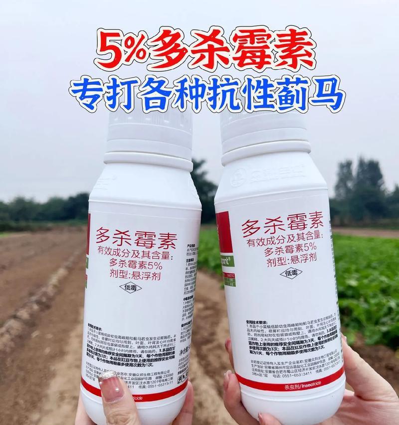 如何有效清除花上的蓟马？（掌握正确的方法与技巧，保护您的花园）