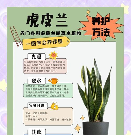 如何救活冻死的虎皮兰根（宝贵植物生命的救赎之道）