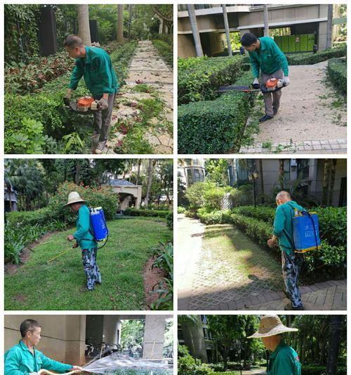 以出鸡浇水的养殖技巧与经验分享（如何正确使用出鸡浇水设备提高养殖效益）