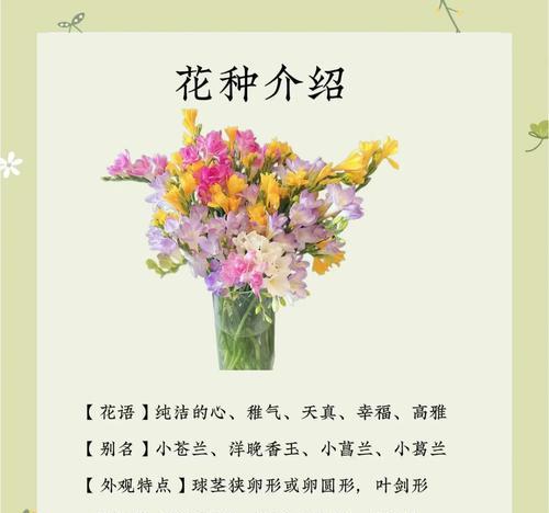 如何正确浇水以香雪兰？（香雪兰养护指南，教你浇水的正确方法）