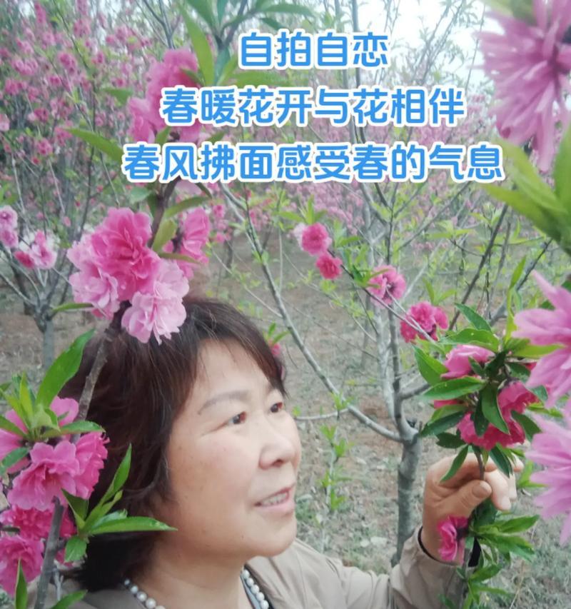 自负自恋的花语（挑战人类自我中心主义的植物世界）