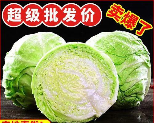 揭秘包菜真正身份(探寻包菜的真实面貌,揭开谜团,解答你的疑惑)