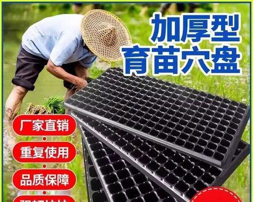 用盆子自制育苗盒（盆子育苗盒的制作方法及优势）