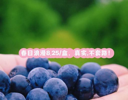 如何储存新鲜的蓝莓？（掌握正确的储存方法，让你的蓝莓保持新鲜）