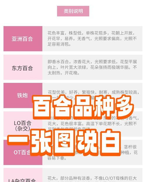 百合苗分株方法与技巧（掌握百合苗分株技术，轻松繁衍繁花）