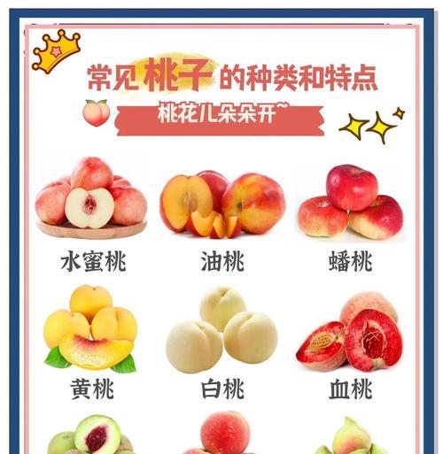 桃树花开果实的时间（桃树开花和结果的季节、影响因素和生长特点）