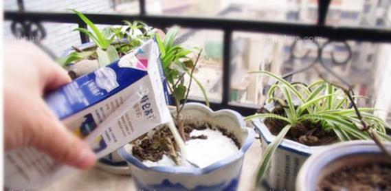 B2科技水壶不仅能烧水，还能浇花（一壶多用，科技更人性化）