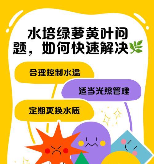 水培绿萝发臭了怎么补救?(解决水培绿萝发臭问题的有效方法)