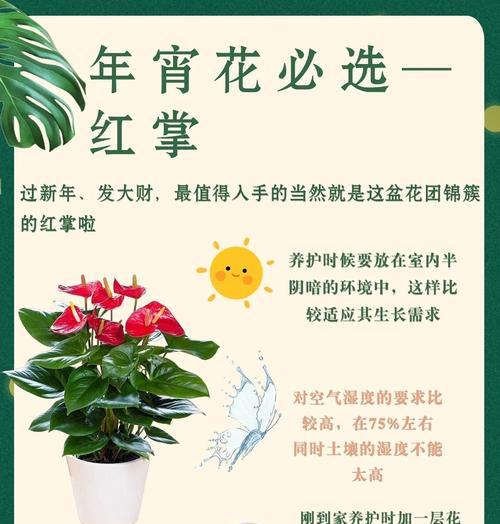 红掌花朵返绿之奇迹（解析红掌花朵由红转绿的原因与过程）