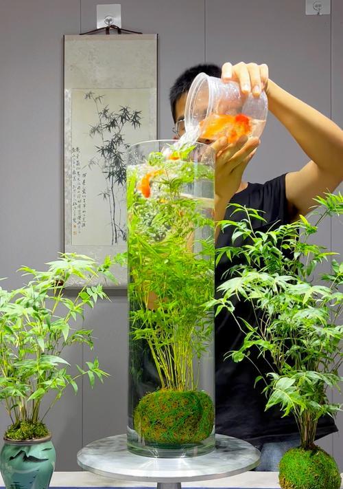 观音竹水培生根指南（用观音竹水培的方法来快速生根）