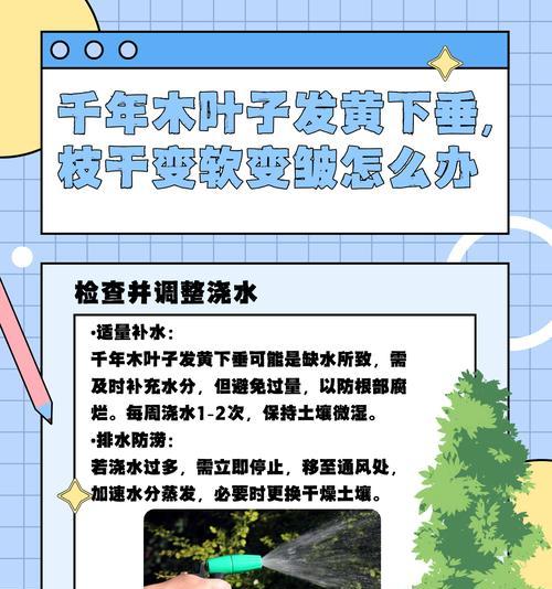 叶子为何会变干？（探究叶子变干的原因及其影响）