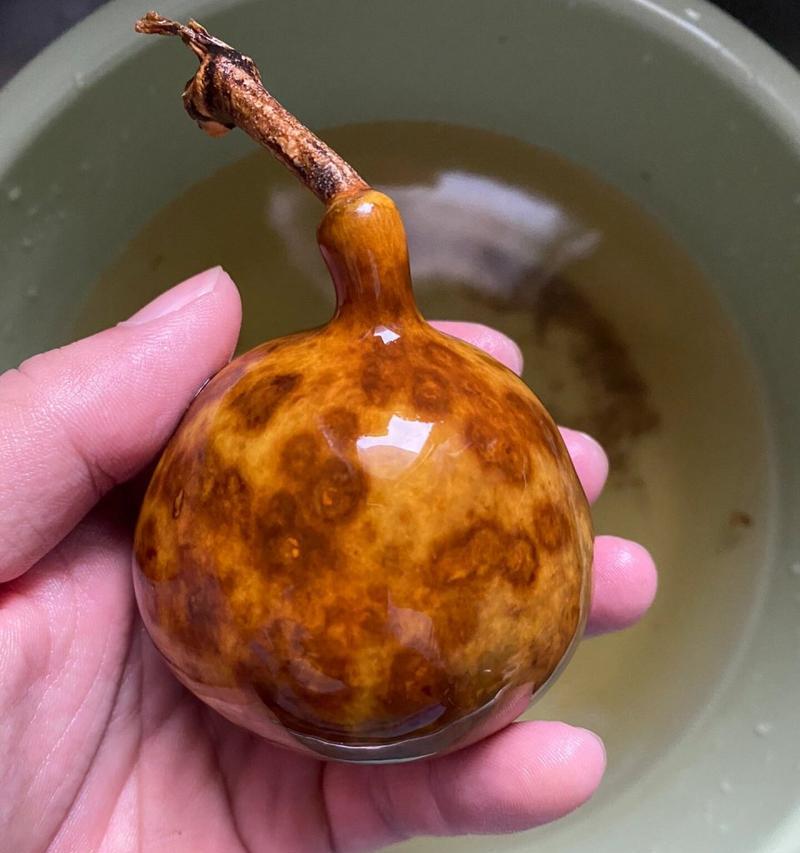 葫芦如何开花的秘密解密（培养方法、营养需求和时间安排）