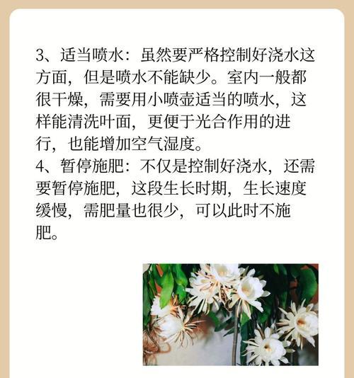 昙花养殖方法大揭秘（打造美丽花园，从养昙花开始）