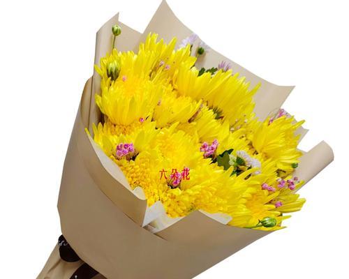 黄菊花的花语与寓意（美丽的黄色代表着什么？黄菊花的花语解读）