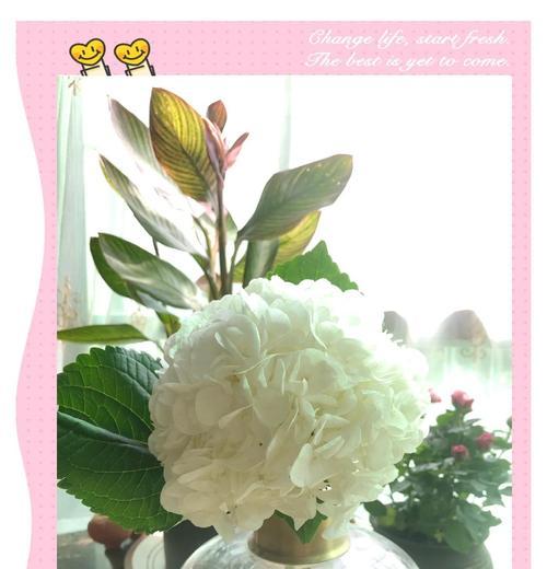 室内花草为何会萎蔫？（探究室内花草枯萎的原因及解决方法）