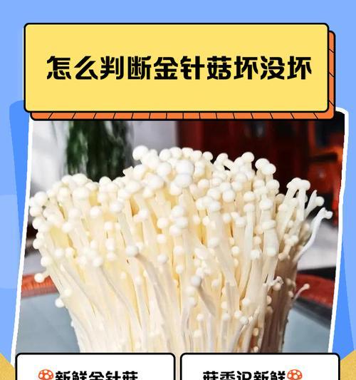 探究金针菇根的发育过程及其生态功能（以金针菇根的发育为线索，揭示植物根系的重要性与功能）