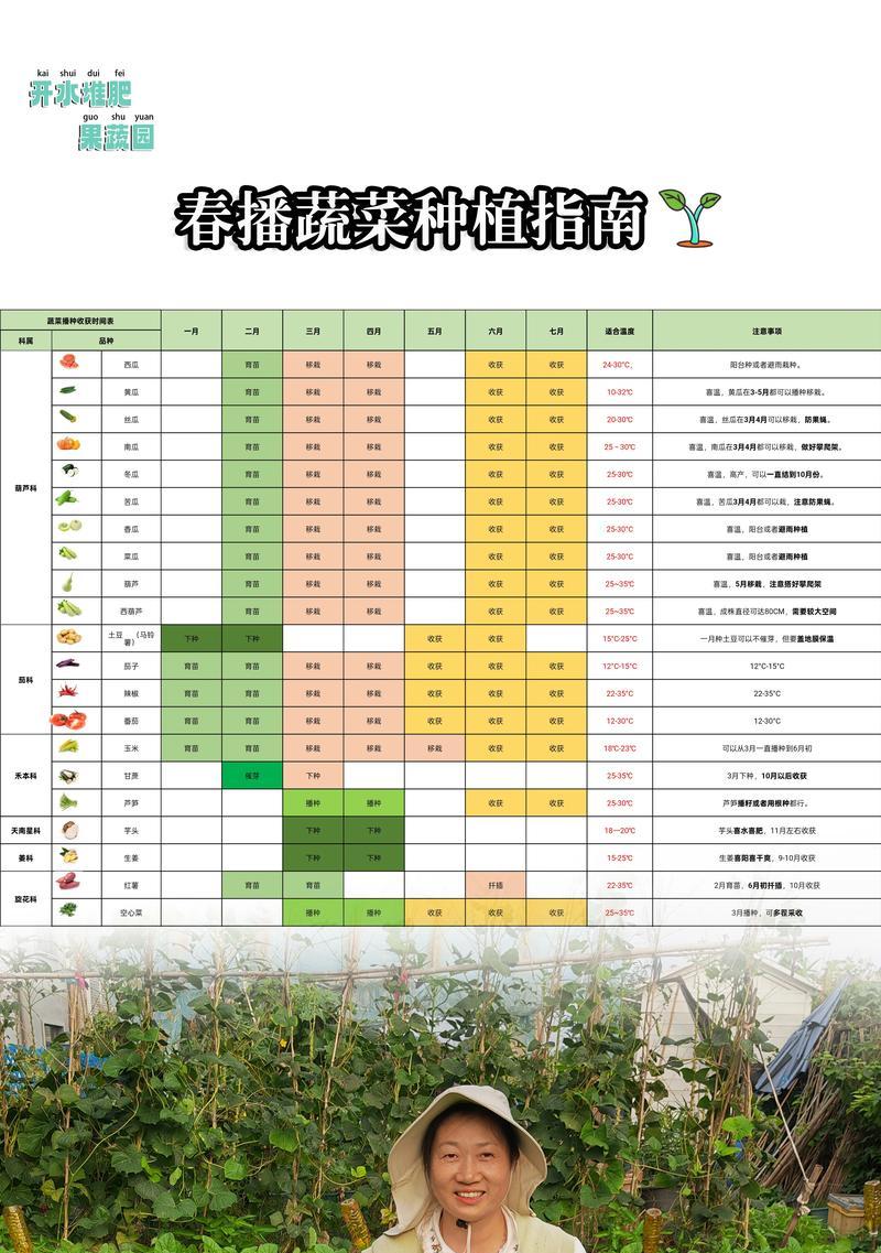 青菜的最佳种植月份与种植季节（一年多季青菜，早春、初夏、秋冬都可丰收）