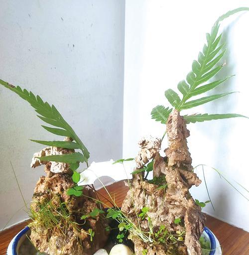 如何打造精美的盆景造型（以盆景造型为主题的艺术创作与技巧）