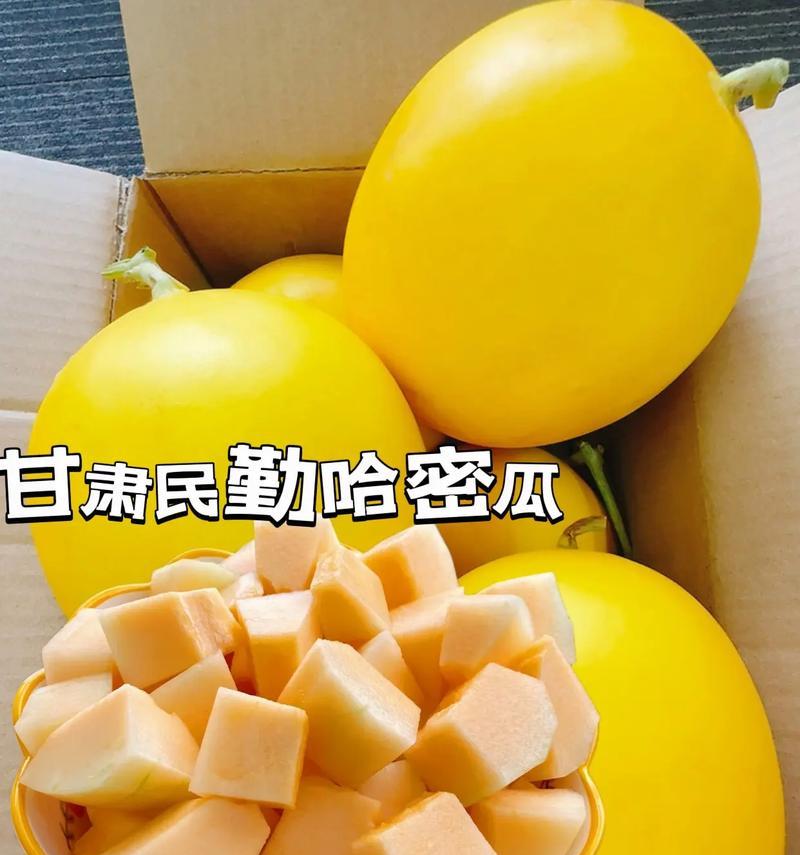 哈密瓜的五彩斑斓（探寻哈密瓜的五种颜色）