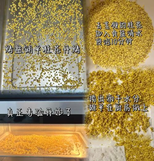 桂花里的小虫如何应对？（全面了解小虫的种类和应对方法，让桂花更美丽）
