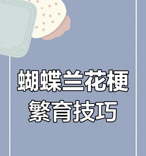 开花后如何正确修剪植物？（掌握修剪技巧，让植物绽放更美丽）
