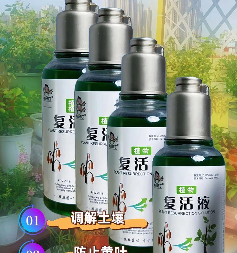 如何解决万年青叶子发黄问题（以水养万年青的关键技巧）