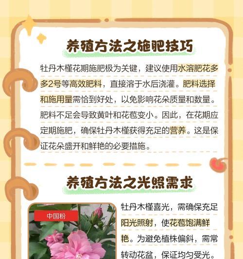 牡丹的养殖方法和注意事项（打造优美花园的秘诀）
