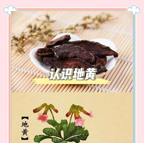 怀地黄的功效与作用——了解中药怀地黄的保健作用（探究怀地黄的营养成分及食用方法）