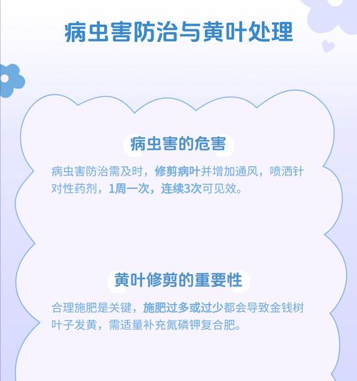 如何解决植物叶片发黄问题（有效的方法和关键因素帮助植物恢复健康）