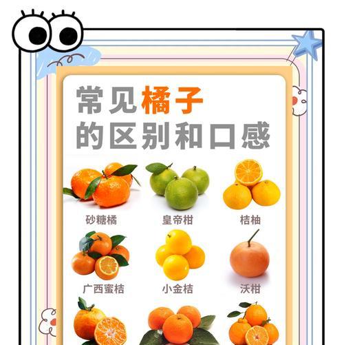 柑橘种子的种植方法与技巧（从柑橘种子到茁壮的苗木，这些注意事项不能忽视）