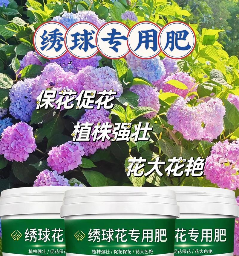 如何有效应对养殖花叶斑问题（全面了解花叶斑及其防治）