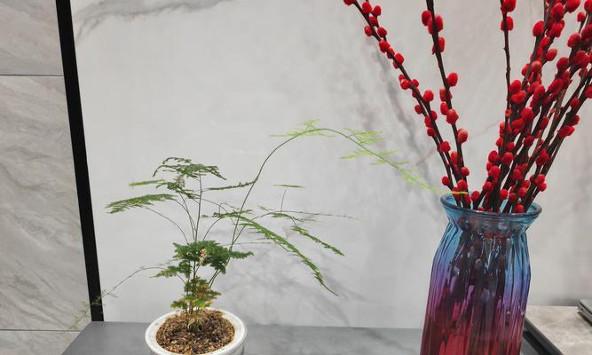 山竹盆栽的培养与养护技巧（打造自家山竹盆栽花园，从种植到成长）