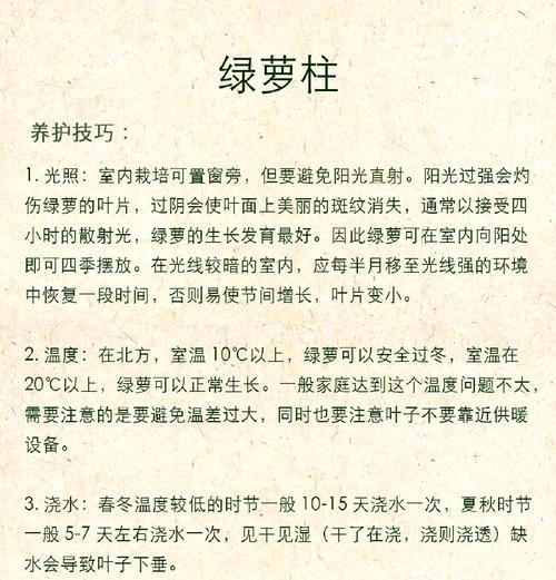 夏天高温绿萝的科学浇水方法（保持绿萝健康的关键是正确浇水）