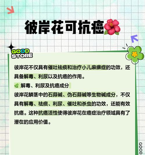 彼岸花的魅力与去除小鳞茎的方法（保持彼岸花健康无小鳞茎，让其绽放盛世之美）