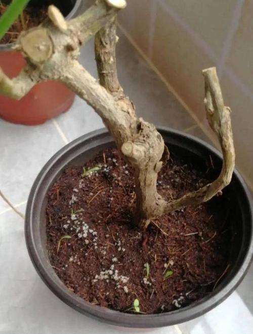 如何正确给电脑换屏幕浇水？（保护电脑屏幕，一不小心就毁了！）