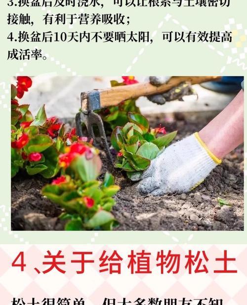 如何正确消毒盆栽花卉土？（简单有效的土壤消毒方法，让花卉健康茁壮）