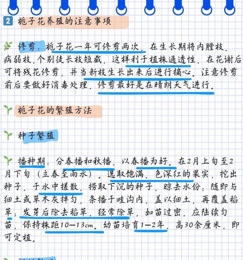 如何延长栀子花的花期（掌握关键技巧，让栀子花绽放更久）
