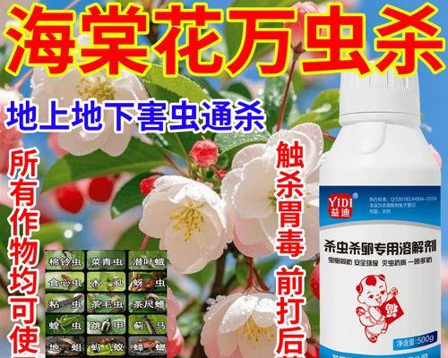 海棠上有虫,如何应对?(了解虫害防治的方法,保护海棠的健康)