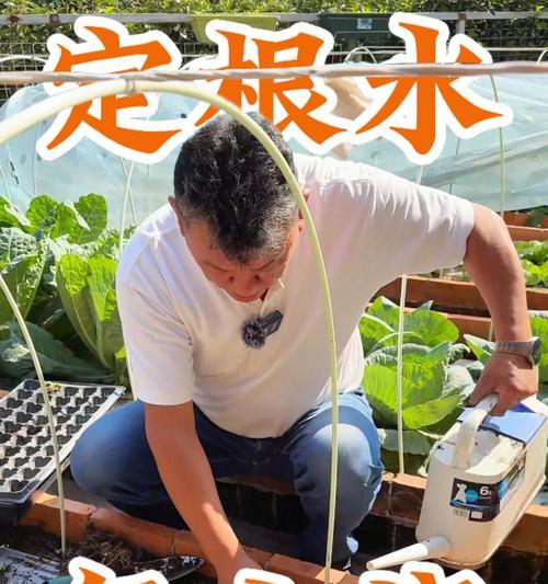 以兰花定根水怎么浇？（科学浇水方法助力兰花生长）